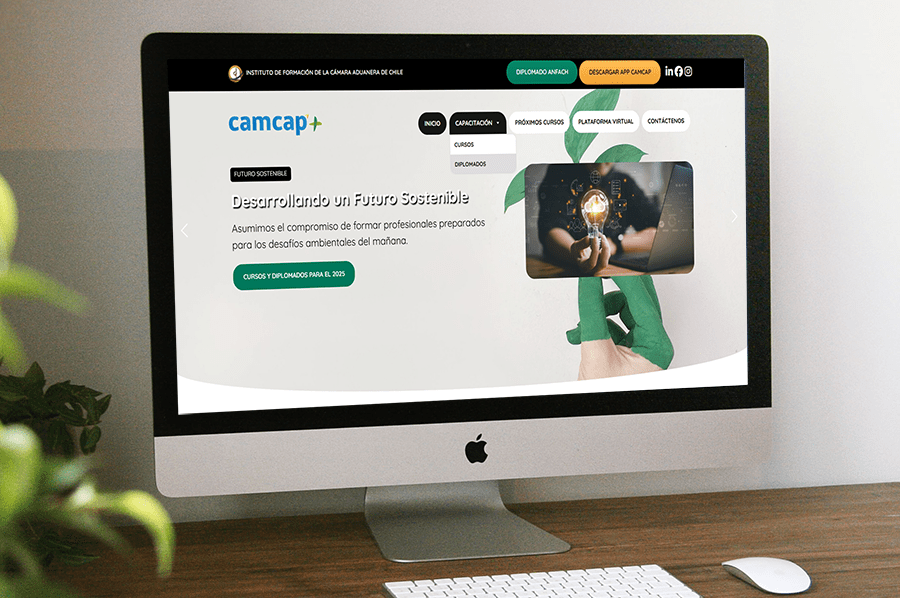 diseño web en viña del mar