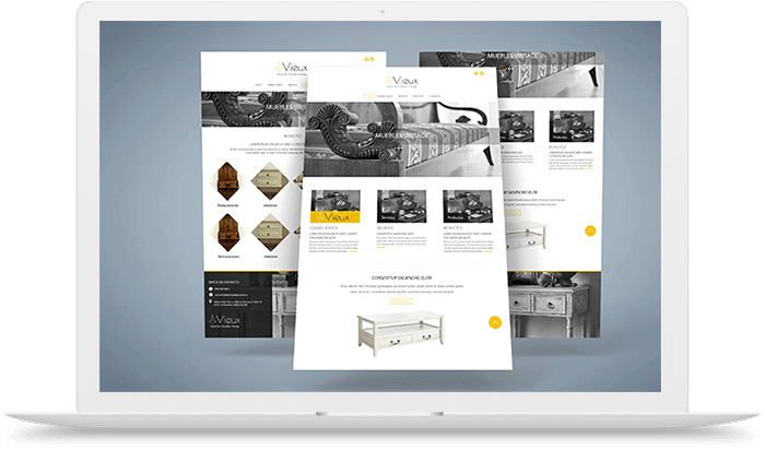 diseño web en viña del mar